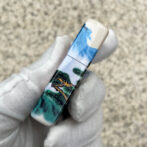 540ColorTiger_04