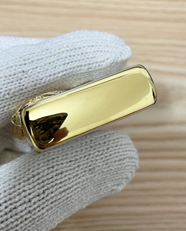 GoldenPoisonoussnake_01