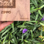 MysteriesoftheForest_03