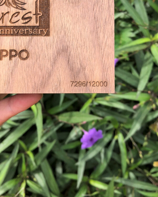 MysteriesoftheForest_03