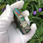 MysteriesoftheForest_13