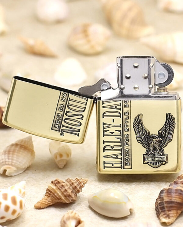 ZippoHDP59ETCHINGBRASS_01