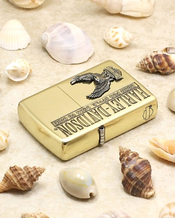 ZippoHDP59ETCHINGBRASS_03