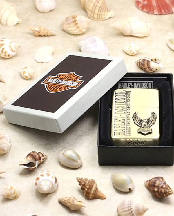 ZippoHDP59ETCHINGBRASS_06