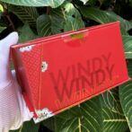 ZippoRedMatteWindyGirlDreamer_17