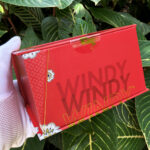 Zippo Chasing Dreams Windy red matte lighter – alternate view 17