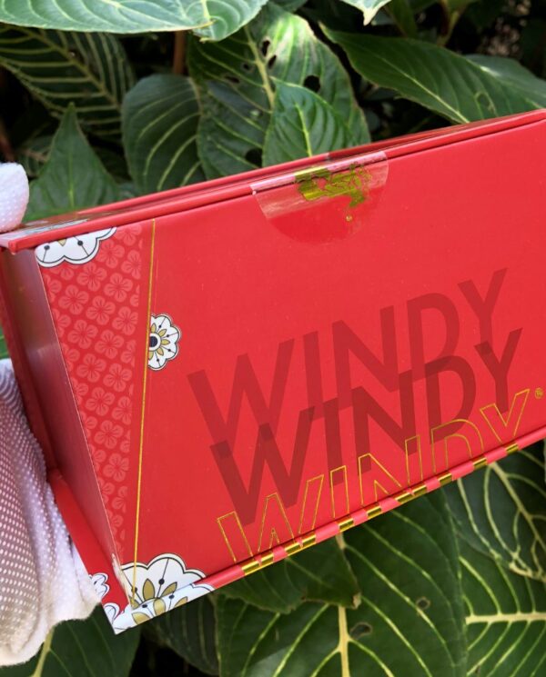 ZippoRedMatteWindyGirlDreamer_17