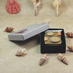 Open black gift box revealing a money-themed trinket with coins on top, set among seashells on a sandy surface.