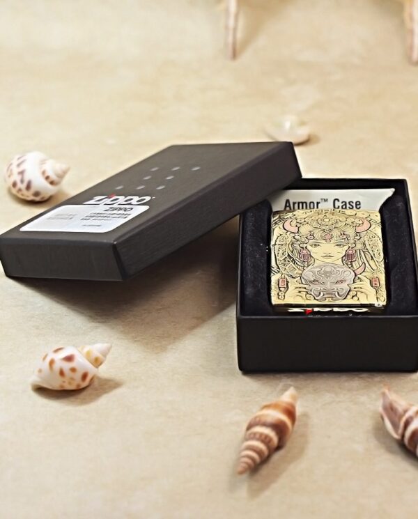 KZ501-06 Open black box reveals a decorative gold card with intricate design, labeled Armor Case, on a sandy surface with seashells nearby.