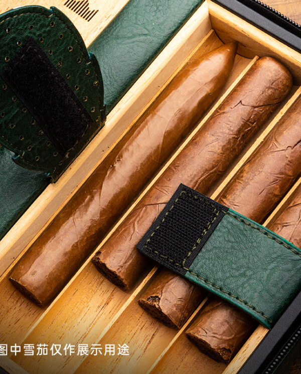 CH-022-03 Cigars arranged in a wooden humidor compartment with green leather accents and a black strap, ready for storage.
