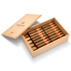 Open light wood cigar box with the lid raised, displaying twelve brown cigars neatly arranged in two rows, each with a red-gold band.