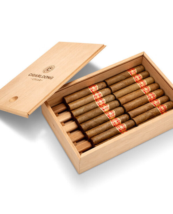 CH009-04 Open light wood cigar box with the lid raised, displaying twelve brown cigars neatly arranged in two rows, each with a red-gold band.