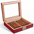 Open wooden cigar humidor with a glass lid, holding twelve cigars and a small digital humidity/display panel on the front.