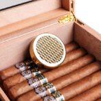 Open wooden cigar humidor with five cigars lined up and a gold circular humidifier resting inside.