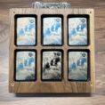 Walnut6case_08